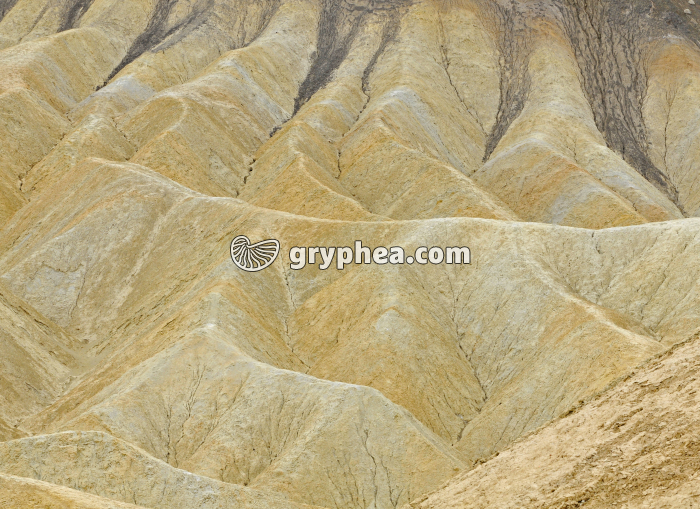 Zabriskie Point - gryphea.com